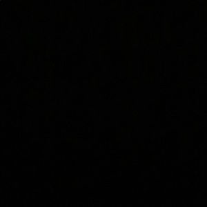 Meet your Posher, Anne